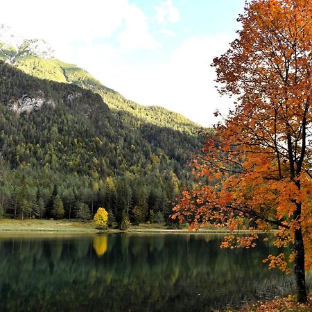 Ferienwohnung Saalbach فيبربرن المظهر الخارجي الصورة